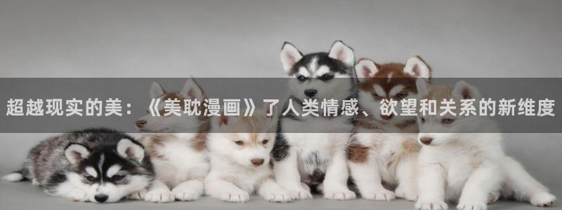 韩漫黄片